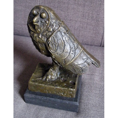 Night hunt bird (93)