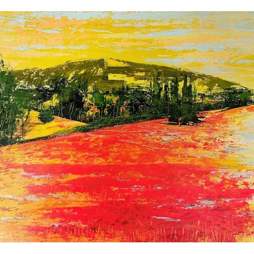 Papaveri in Toscana (0187)