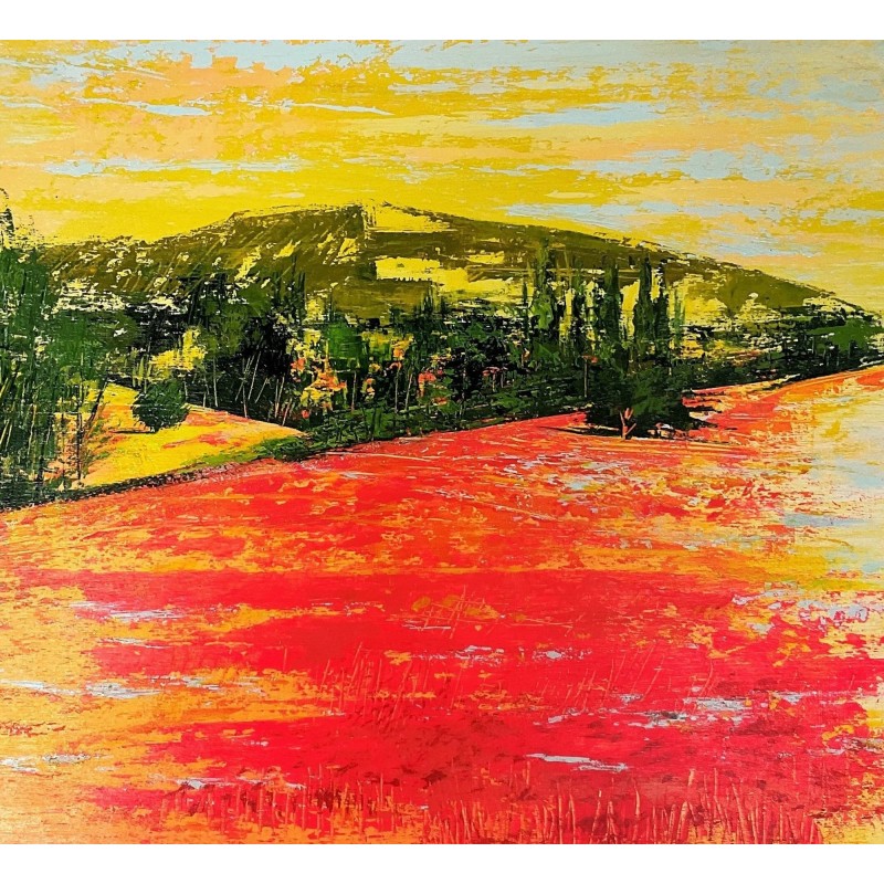 Papaveri in Toscana (187)