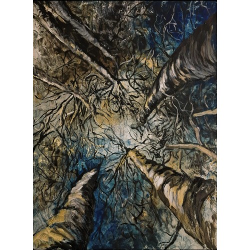 Night in the forest (454)