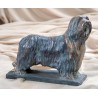 Bearded Collie (0333)-USA