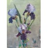 Iris flowers (0370)